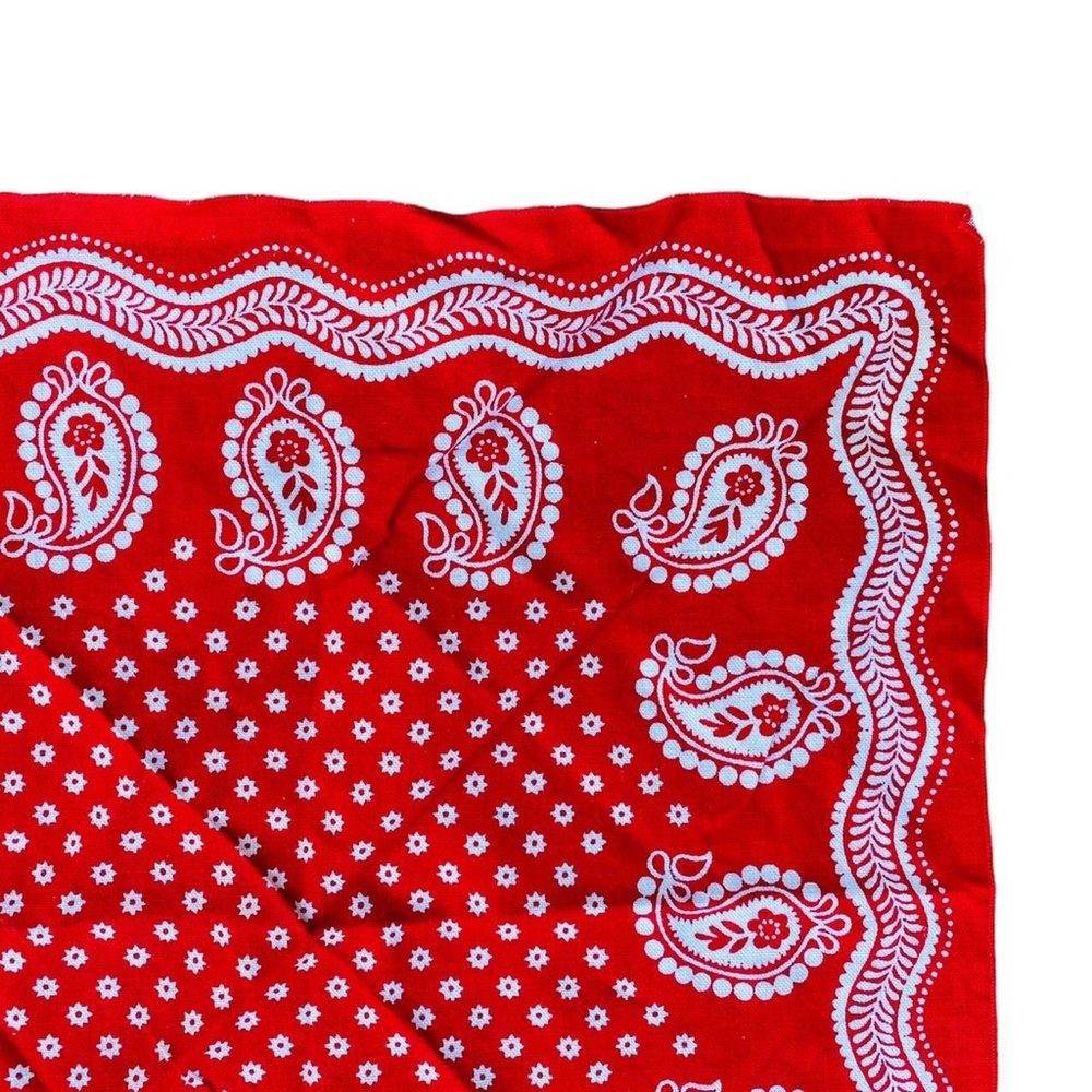 Red Bandana - Picture 4 of 4
